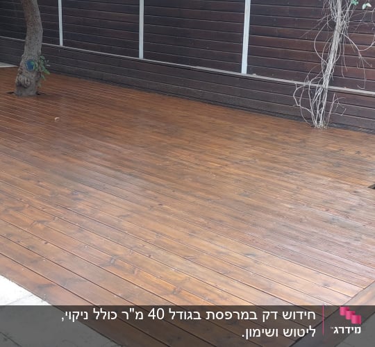 דק עץ עם עצים ושיחים בגינה
